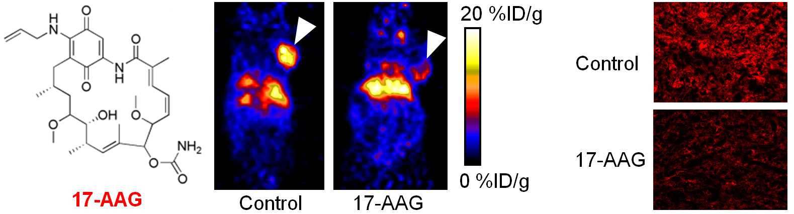 Figure 20